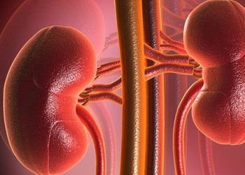 Akut Böbrek Yetmezliği Nasıl Meydana Gelir?